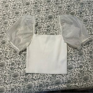 Aritzia Wilfred Sheer Sleeve Top